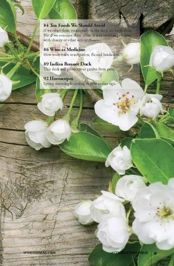 MY-HERBS-0_Page_007.jpg