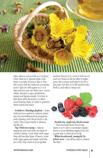 MY-HERBS-0_Page_011.jpg