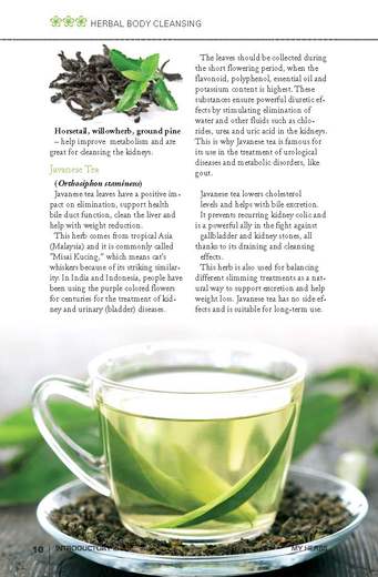 MY-HERBS-0_Page_012.jpg