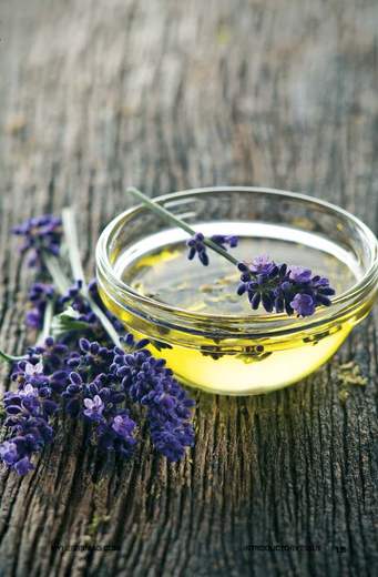 MY-HERBS-0_Page_017.jpg