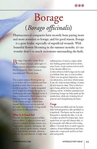 MY-HERBS-0_Page_019.jpg