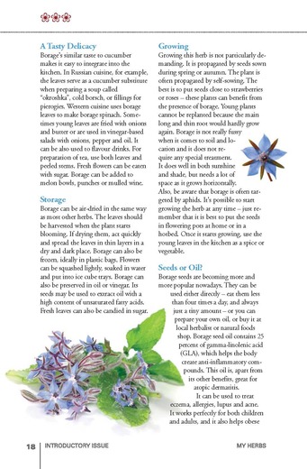 MY-HERBS-0_Page_020.jpg